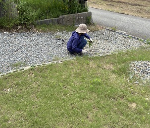 写真