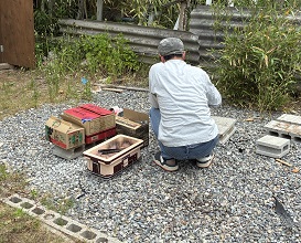 写真