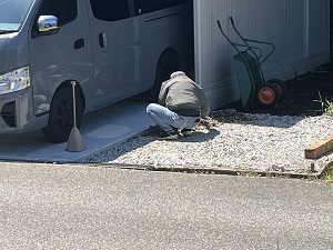 写真