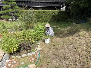 写真
