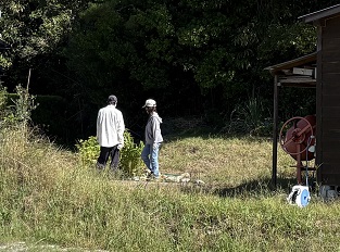 写真